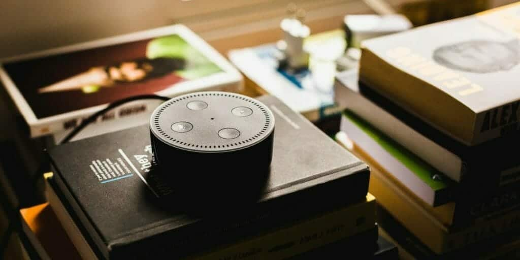 Amazon Alexa Voice Ordering: How This Trend Affects Sales