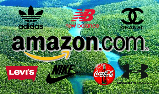 How Amazon Partners With Brands